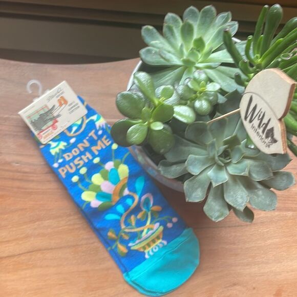 NWT Blue Q “Don’t Push Me” ankle socks - Picture 1 of 7